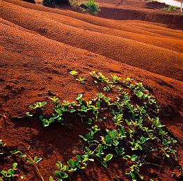 国外玩家成功将CS 1.6移植到Switch 甚至可以联机